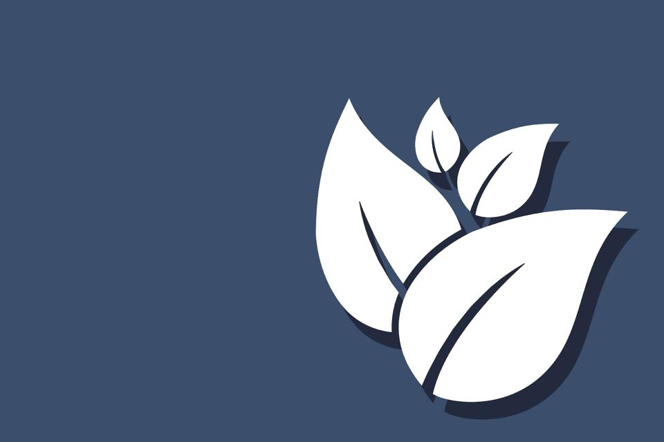 Weiße Blütenblätter auf blauem Hintergrund (Symbolbild: Umweltschutz)
